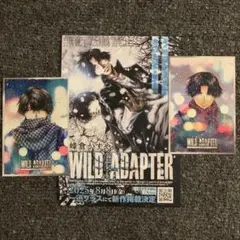 【WILD ADAPTER inYOKOHAMA 】ポストカード★久保時＋チラシ
