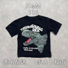 Item thumbnail for item 1cfebee6-2cbc-4faa-82e6-cee33548f31a