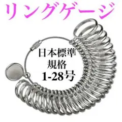 日本標準規格リングゲージ 1-28号 指輪 計測 サイズ 号数 指サイズ