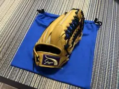【送料込み・未使用】中日ドラゴンズ ミズノ製軟式グローブ 立浪高橋岡林細川 2025年最新】立浪 グローブの人気アイテム - メルカリ