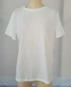 Tシャツ　白　レディース　M