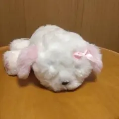 2025年最新】マイドリームパピーの人気アイテム - メルカリ