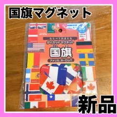 【新品】国旗　ダイカットマグネット 25ピース　アメリカ　ヨーロッパ　知育　匿名