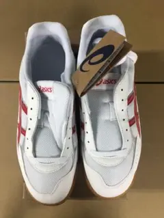 アシックス 屋内用スポーツシューズ 27.0㎝