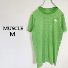 【アバクロビーアンドフィッチ】　ストライプ Tシャツ　メンズ　Mサイズ