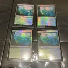 mtg foil 繁殖池4枚セット