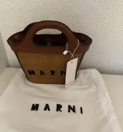 マルニ ラフィア マイクロミニ