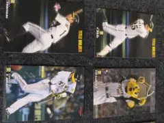 カルビープロ野球チップス　阪神タイガースセット