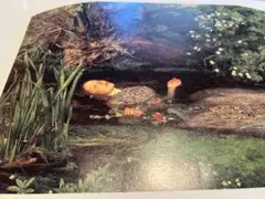 Item thumbnail for item 14e5019f-ea58-4167-9f31-883eab3a7fed
