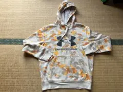 Item thumbnail for item 2e6c7fc3-a521-4c5d-8cea-b3347a8af6b6