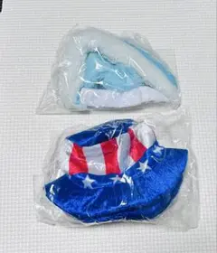 Item thumbnail for item 29663b00-cd4d-45ad-957d-0fff0abc94a0