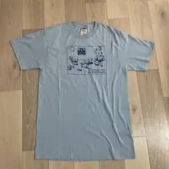 【最終価格】フルーツオブザルーム ヴィンテージ Tシャツ Mサイズ
