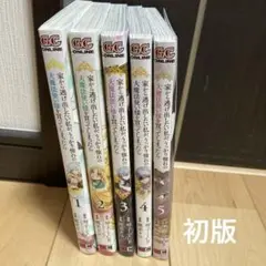 家から逃げ出したい私が、うっかり憧れの大魔法使い様を買ってしまったら　1〜5巻