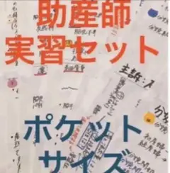 実習ポケットノート 助産師・助産学生　助産師国家試験　まとめノート 助産実習まとめノート① 助産実習前は時間なかったので、参考書