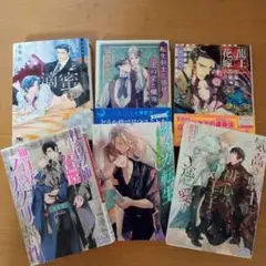 オメガ転生〜王子さま俳優の溺愛〜　他BL小説まとめ売り　全6冊