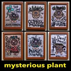 ６個セット★でかサイズ！★フレーム付き★mysterious plant