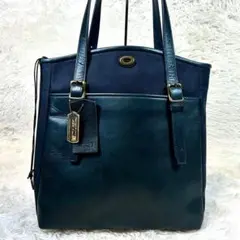 Item thumbnail for item e1ccb608-ae30-458b-96fe-9f77eb3685af