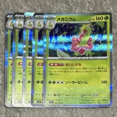 メガニウム　5枚　おいしげる　メガシンフォニア