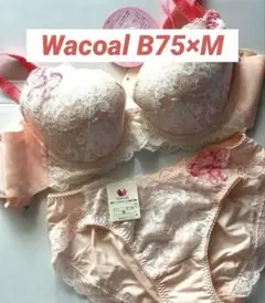 Wacoal 女神のヒミツ ピンク ブラジャーB75×ショーツM