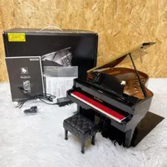 2025年最新】grand pianistの人気アイテム - メルカリ