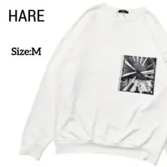 Item thumbnail for item 63f6633a-ab9c-4ff1-a1c0-6644ee161c6d