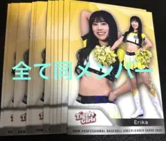 Item thumbnail for item 861cf6df-b525-4694-9057-6d7d3d942cb6