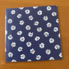 きのこ帝国 ロンググッドバイ CD