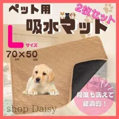 ペット用吸水マット Lサイズ おしっこ ペット マット トイレ 滑り止め