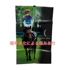 アドマイヤムーン　特大ポスター【当時品】競馬　サラブレ79cm×50cm