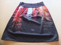 Item thumbnail for item 12722d27-f433-444e-bf32-74c1452e4fb3