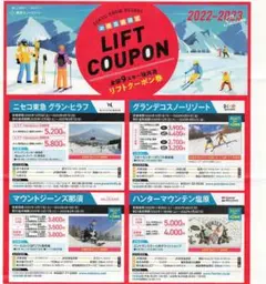 東急スノーリゾート 全国9スキー場共通リフトクーポン券 グランデコ日帰りリフト券