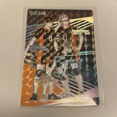 ハイキュー!! きゃらくたぶるカードグミ Vol.4 スーパーハイレア 烏野