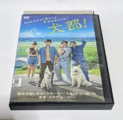 DVD 犬部　林遣都　中川大志