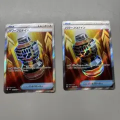 パワープロテインSR2枚セット