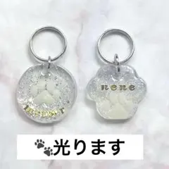 Item thumbnail for item 52ae516b-0058-4772-a7f0-f8660860f9e7