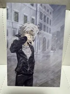 家庭教師ヒットマンREBORN！　獄寺隼人　アニメイトフェア　非売品ポストカード