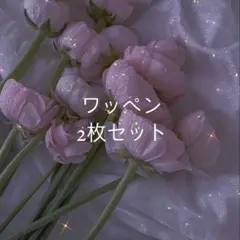 ワッペン2枚セット