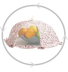 Item thumbnail for item ea8b6f55-ef83-4bdf-934e-a0e76a32ef03