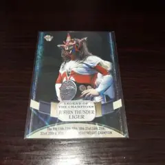 獣神サンダー・ライガー トレーディングカード