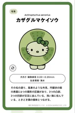 EXPO2025　日本館限定　サンリオ 藻キティ　シークレットピンバッチ