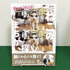 会いに行ける!ねこのまちがい探し