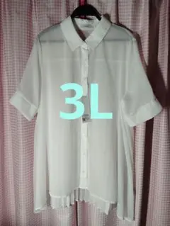 3L　バックプリーツ　シアーシャツ　ホワイト