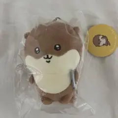 ナガノ　カワウソ　くじ　D賞