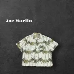 Item thumbnail for item c7955a17-64c3-4dd5-ae58-0aed2a61adc6