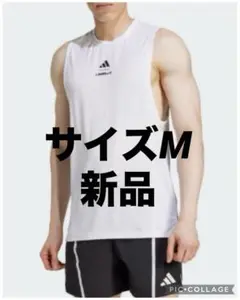 Item thumbnail for item 2837aa87-b2e5-40ce-8f04-42512fb482df