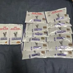 Item thumbnail for item 60ed1ee2-6fcc-4361-8401-6af6e3119e9a