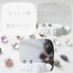 はっとぅ様 リクエスト 2点 まとめ商品