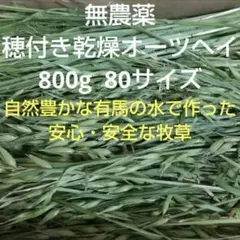 Item thumbnail for item c07e60a5-93a8-4cd6-8b9c-e33fd643afa4