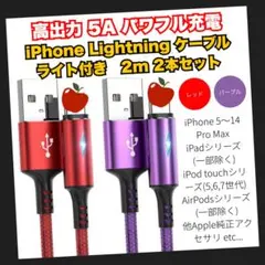 Lightning ケーブル iPhone 充電器 2m 2本セット Apple