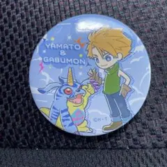 デジモンアドベンチャー 缶バッジ 2個セット